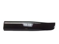 GM 84241760 Lower Molding, Black, Rear Driver Side