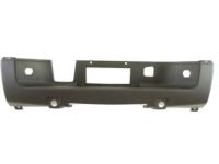 GM 15284309 Step Pad, Rear