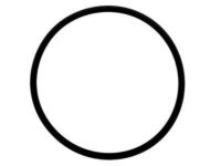 GM 25028682 Fuel Pump O-Ring
