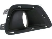 GM 22891700 Trim Bezel, Driver Side