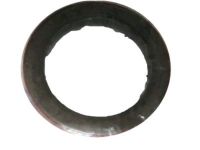 GM 10162078 Seal, Engine Camshaft & Balance Shaft Front