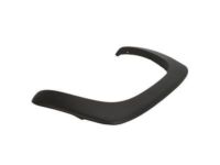 GM 10374844 Flare, Black Grained, Driver Side