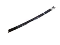 GM 15769938 Channel, Passenger Side