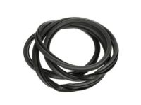 GM 15161704 Door Weatherstrip, Front