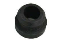 GM 15705446 Indicator Grommet