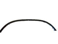 GM 10235414 Wheel Opening Molding, Front Passenger Side