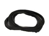 GM 84136794 Weatherstrip, Rear