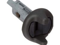 GM 12369498 Ignition Lock Cylinder