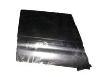 GM 15023285 Body Side Molding, Front Driver Side