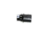 GM 9597782 Wheel Nut Cap, Black