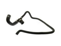 GM 13118272 Outlet Hose, Lower
