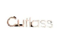 GM 22519368 Emblem, Front