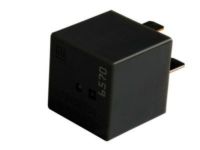 GM 13468934 Relay, Black