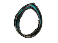 GM 15700884 Weatherstrip, Passenger Side GM 15700884 Weatherstrip, Passenger Side