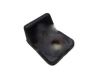 GM 25844065 Retainer Clip