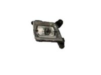 GM 84509651 Fog Lamp, Front Driver Side