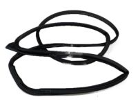 GM 95158823 Door Weatherstrip