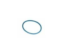 GM 15776433 Fuel Pump Seal, Driver Side