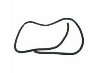 GMC Savana 2500 Weather Strip - 22888211 Weatherstrip, Rear Driver Side