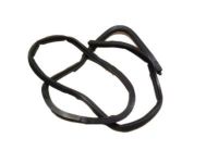 Chevrolet Impala Weather Strip - 10419497 Door Weatherstrip