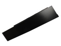 GM 20917054 Applique, Driver Side