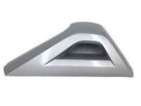 GM 19184004 Rear Cover, Passenger Side
