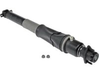 GM 19300025 Shock Absorber, Rear Driver Side