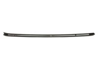 GM 23179298 Side Molding, Passenger Side