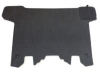 GM 84042506 Floor Cover, Rear