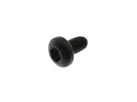 GM 11570116 High Mount Lamp Screw GM 11570116 High Mount Lamp Screw
