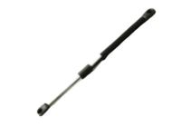 GM 84298335 Lift Cylinder, Passenger Side