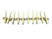 GM 11612208 Rivet, Catalytic Converter GM 11612208 Rivet, Catalytic Converter