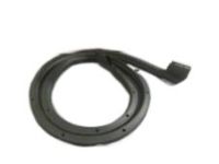 GM 20963562 Rear Weatherstrip GM 20963562 Rear Weatherstrip