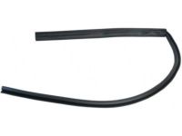 GM 20921214 Belt Weatherstrip, Front Outer Driver Side