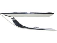GM 23422696 Trim Bezel, Driver Side