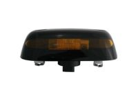 GM 22956989 Roof Lamp Assembly, Outer Driver Side