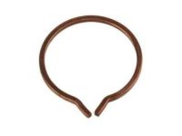 GM 26029915 Outer Joint Assembly Ring, Front