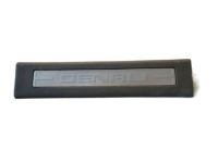 GM 22900124 Carpet Retainer, Passenger Side