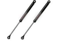 GM 22522923 Assist Rod