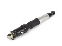 GM 84176675 Shock Absorber, Rear