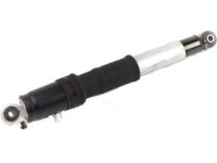 GM 19368462 Shock Absorber, Black, Rear