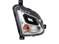 GM 84226246 Signal Lamp Assembly, Front Passenger Side