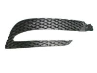 GM 20983394 Outer Grille, Passenger Side