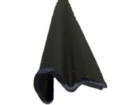 GM 10353141 Trim Molding, Rear
