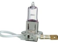 GM 11513798 Bulb & Socket, Front