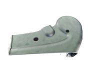 GM 96439559 Inner Finish Panel, Black