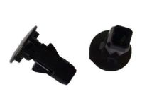 GM 95216004 Splash Shield Retainer GM 95216004 Splash Shield Retainer