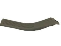 GM 10358858 Sill Plate, Passenger Side