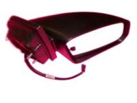 GM 22721766 Applique, Rear Passenger Side