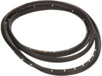 GM 15975379 Door Weatherstrip, Front Driver Side